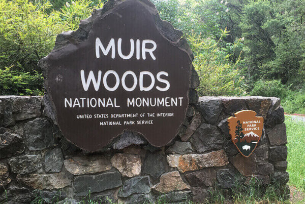 when to visit muir woods