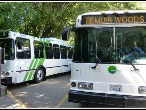Muir Woods Shuttle bus at the Sausalito boarding point