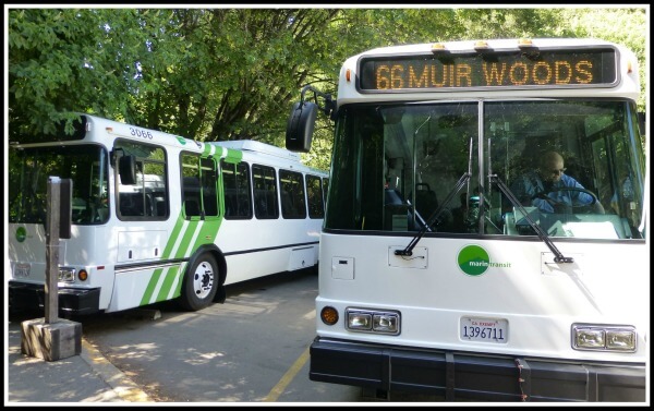 Muir Woods Shuttle bus at the Sausalito boarding point