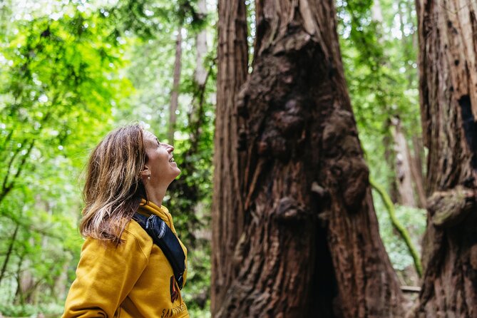 Muir Woods and Sausalito return by bus or ferry