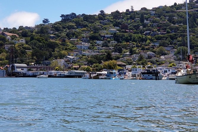 San Francisco city tour plus Muir Woods and Sausalito