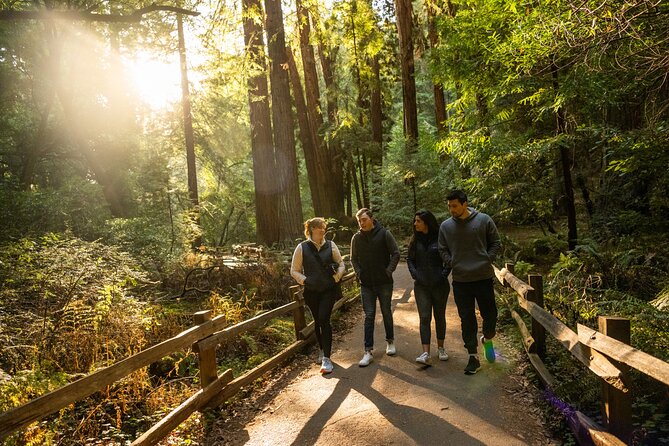 San Francisco to Muir Woods shuttle
